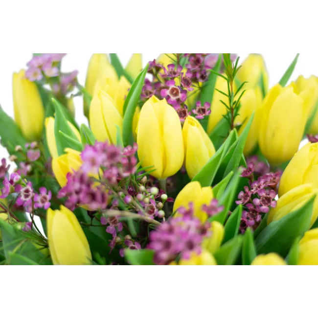 Bouquet of yellow tulips